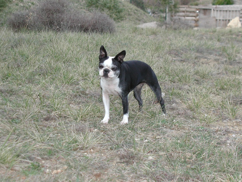 Mélissa Des forges de saint gilles