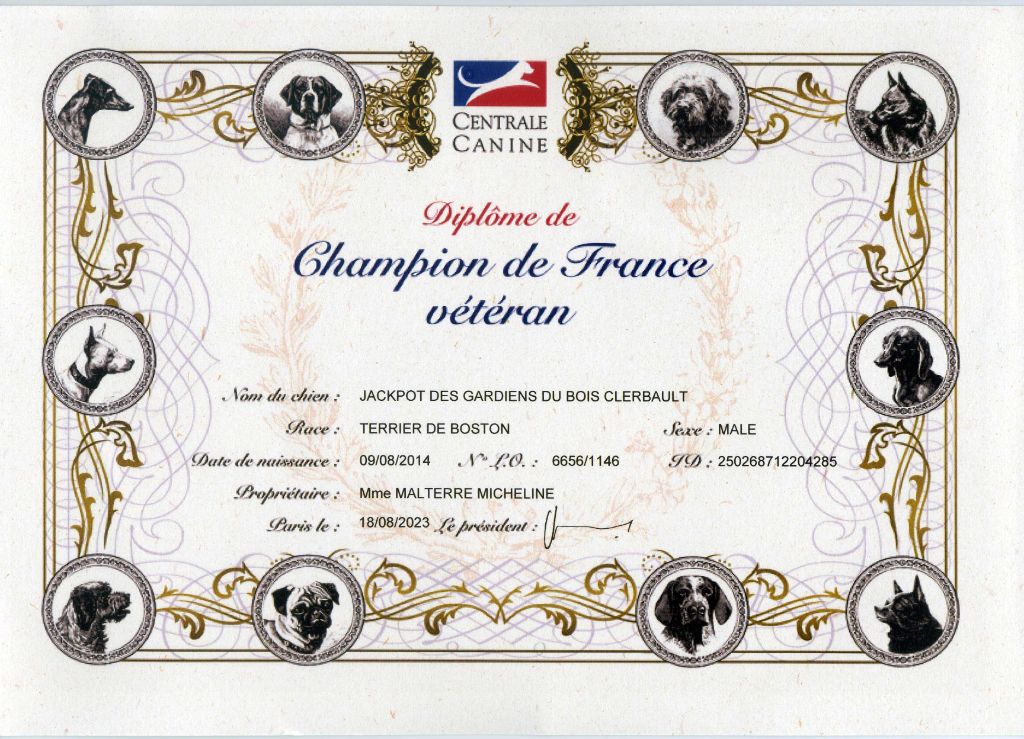 Titre de Champion Jackpot